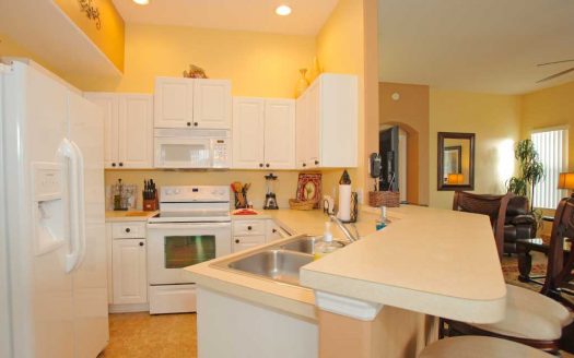 221 Brunello Drive DAVENPORT FL 33897