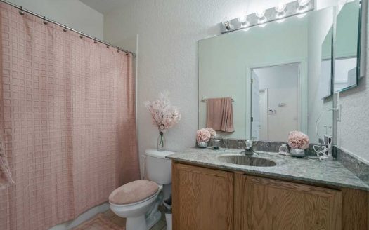 413 CORVINA DRIVE DAVENPORT FL 33897